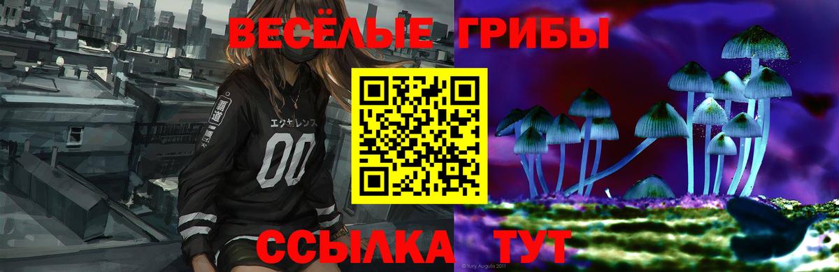 Калач-на-Дону  Псилоцибиновые грибы Psilocybine cubensis  Вход с VPN 